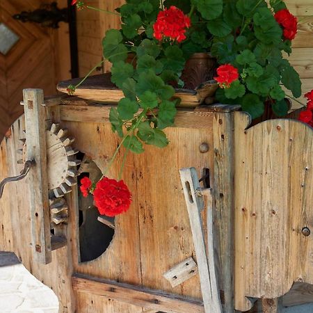 Saukaserstub'N Apartments - Ferienwohnung Schuetzkogel Jochberg Dış mekan fotoğraf